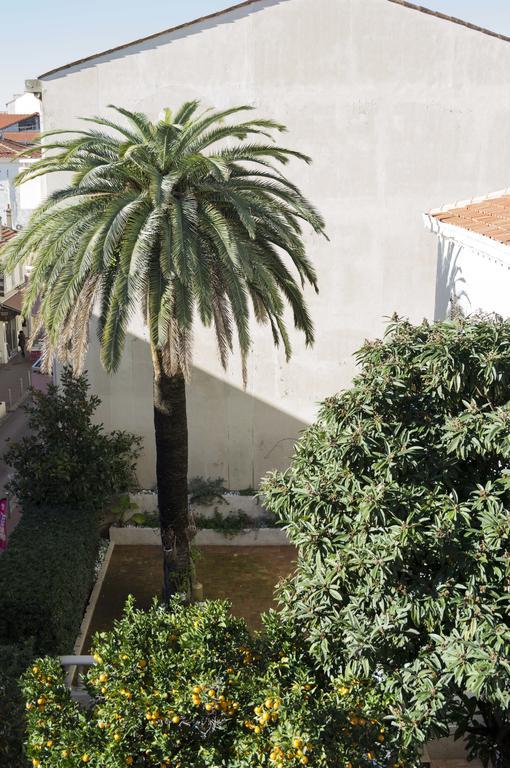 Appartement Cannes rue Marceau公寓 客房 照片